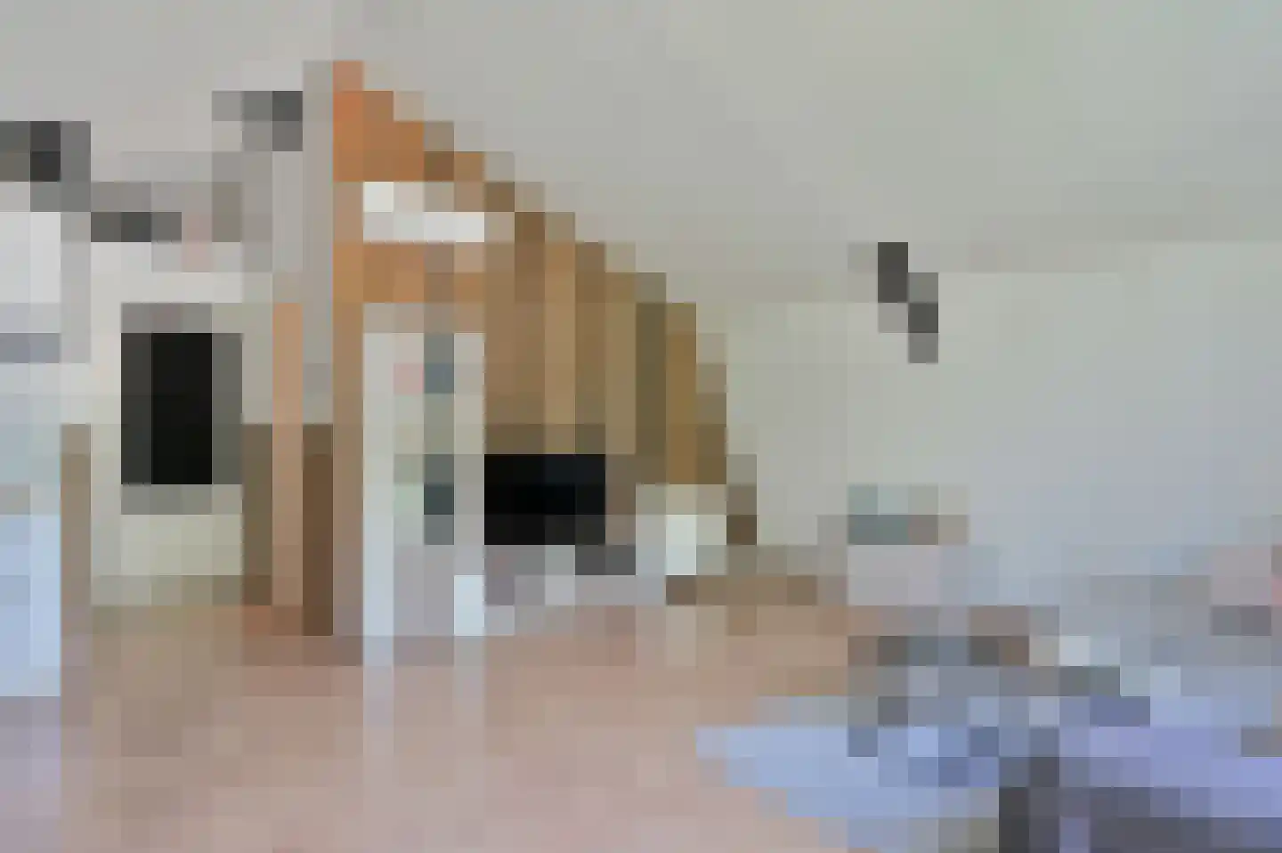 Nieuwemeerdijk 148 Badhoevedorp thumbnail 20