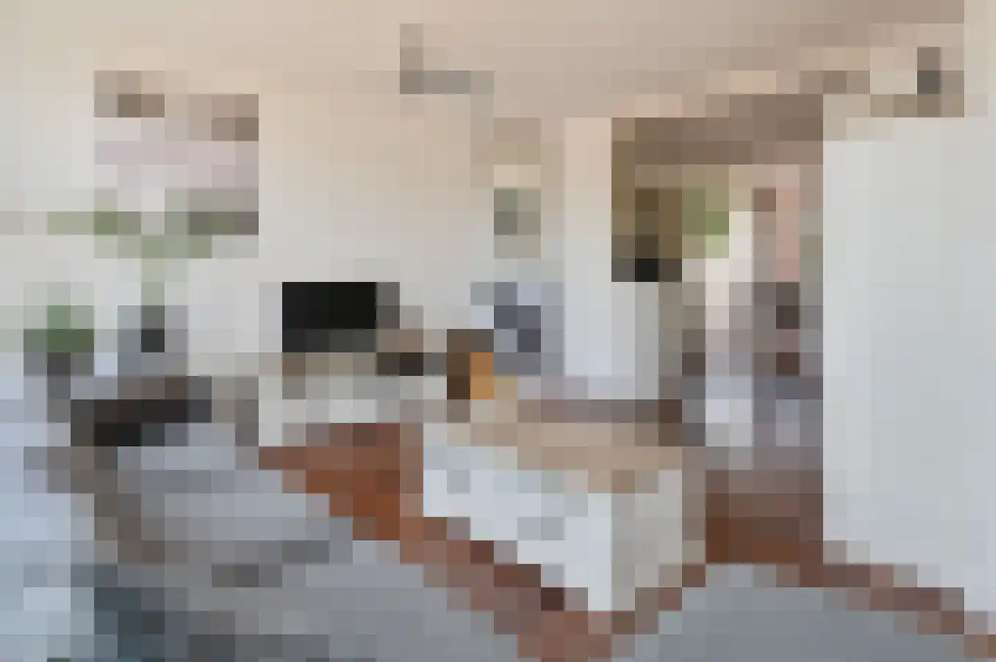 Nieuwemeerdijk 148 Badhoevedorp thumbnail 8
