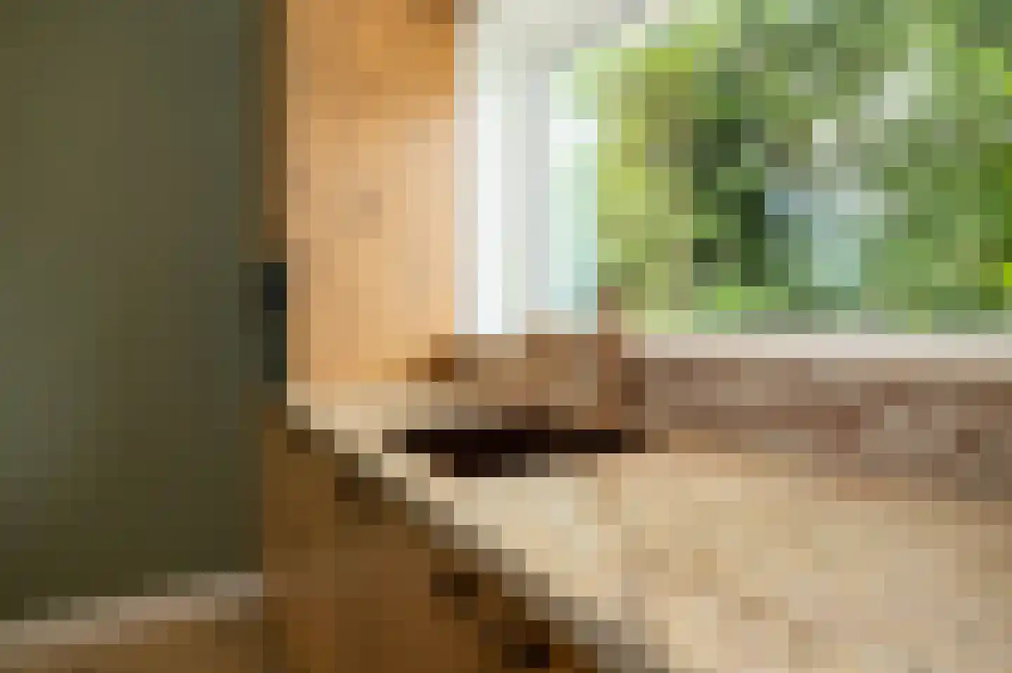 Nieuwemeerdijk 199 Badhoevedorp thumbnail 17