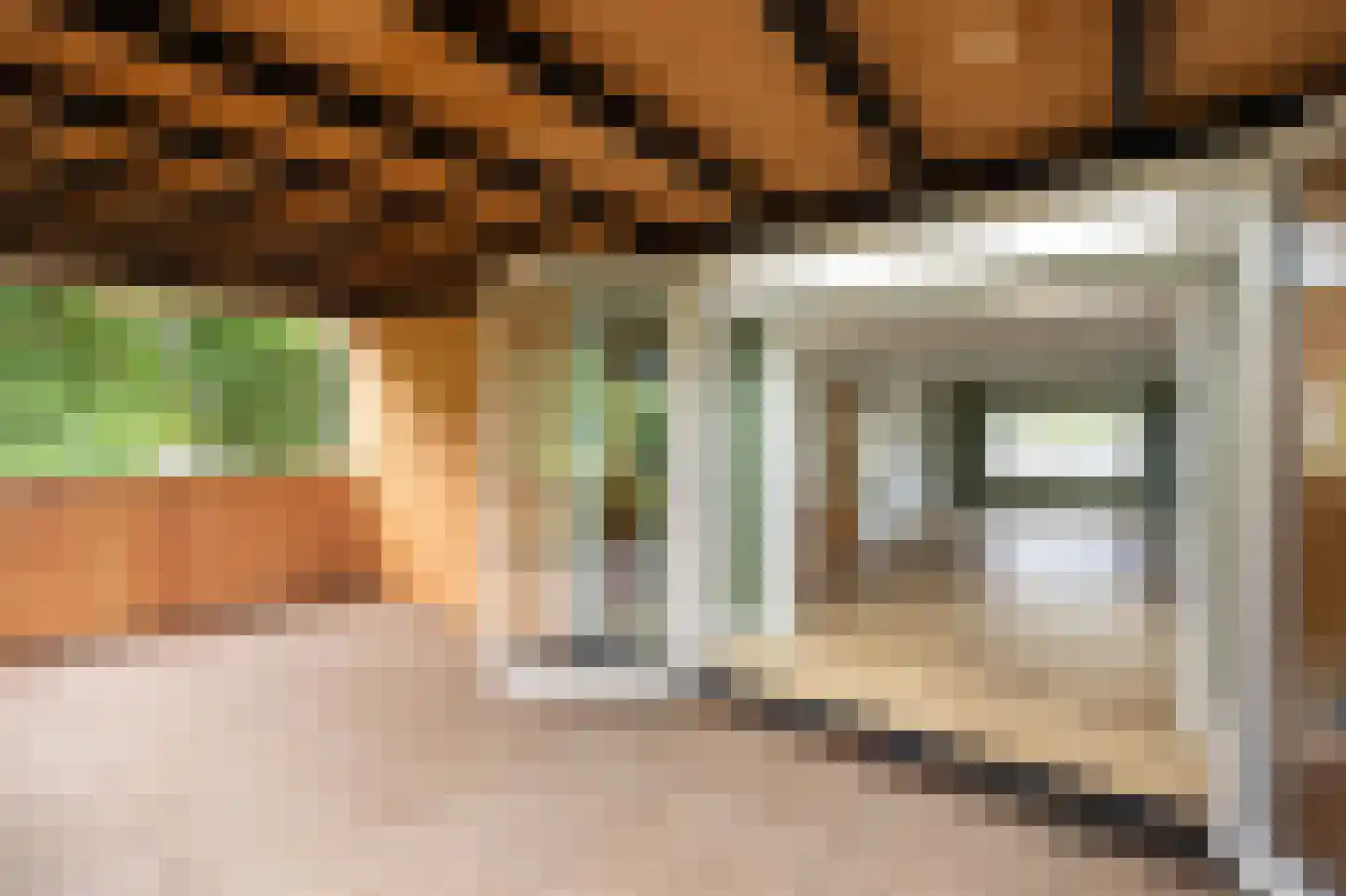 Nieuwemeerdijk 199 Badhoevedorp thumbnail 19