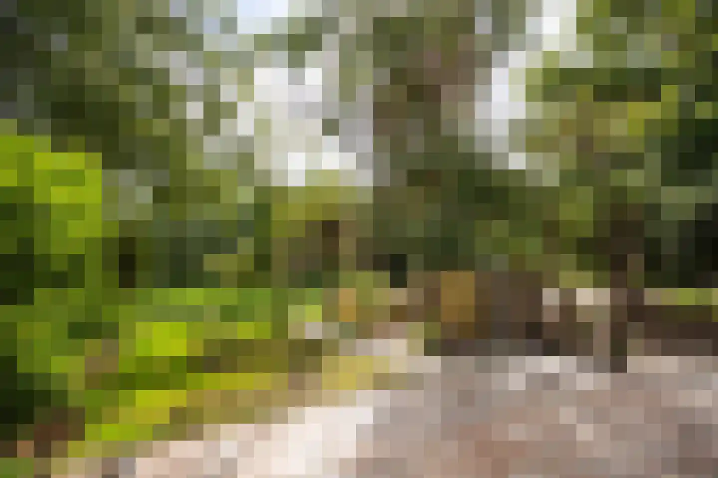 Nieuwemeerdijk 199 Badhoevedorp thumbnail 42