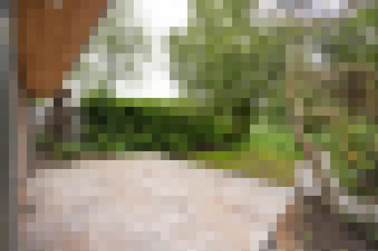 Nieuwemeerdijk 199 Badhoevedorp thumbnail 43