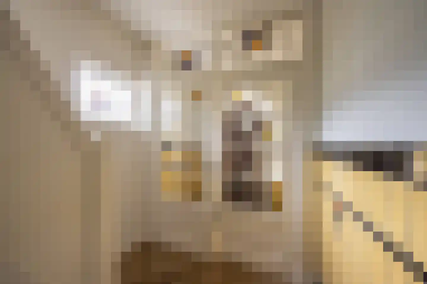 Nieuwemeerdijk 199 Badhoevedorp thumbnail 6