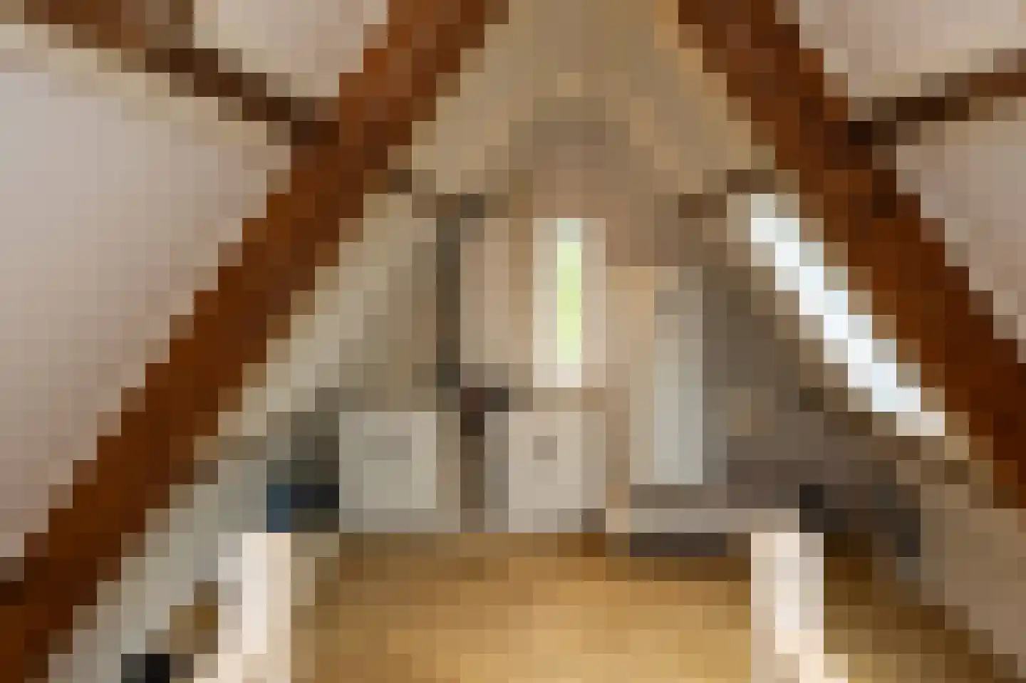 Nieuwemeerdijk 199 Badhoevedorp thumbnail 67
