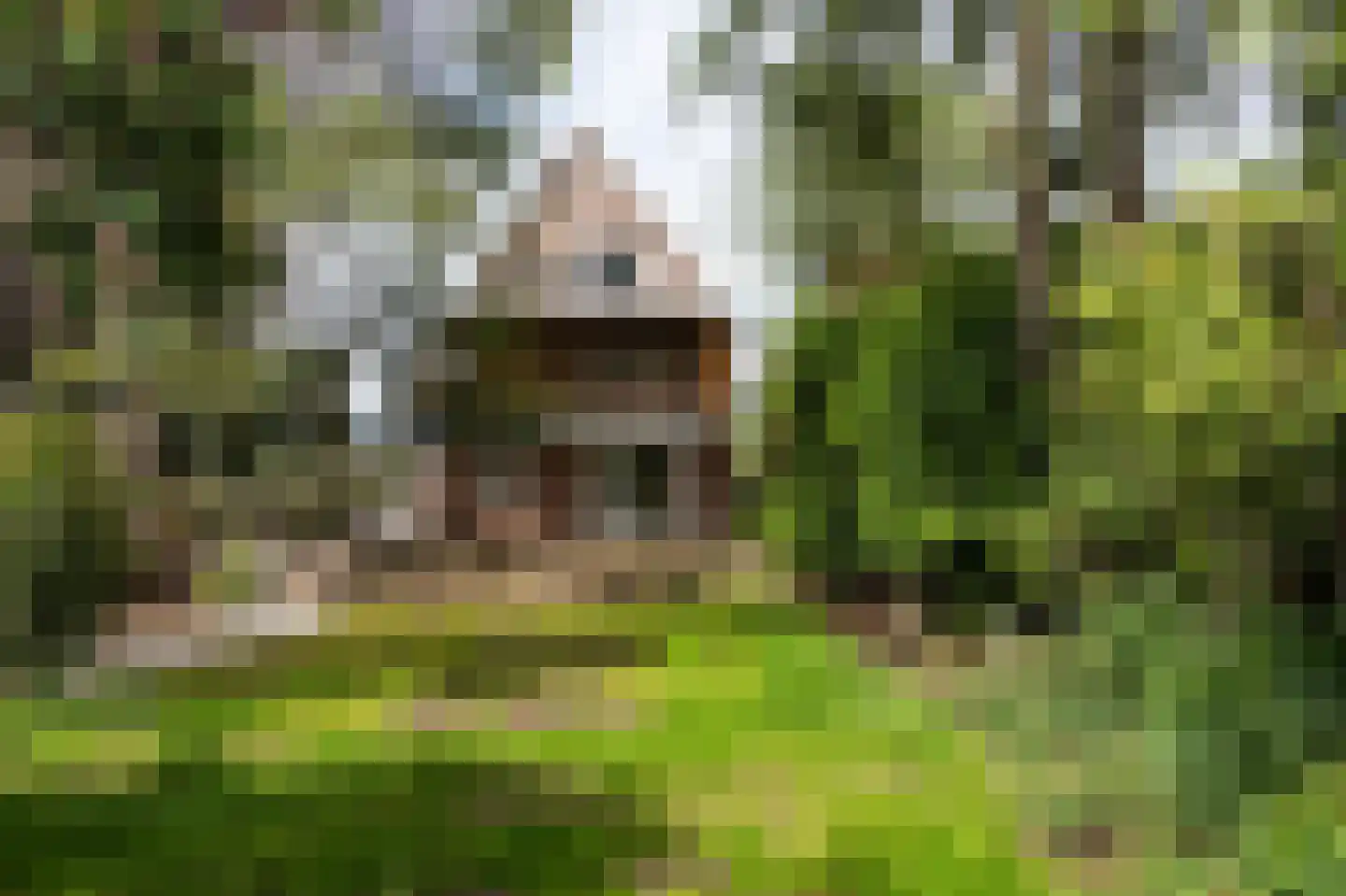 Nieuwemeerdijk 199 Badhoevedorp thumbnail 69