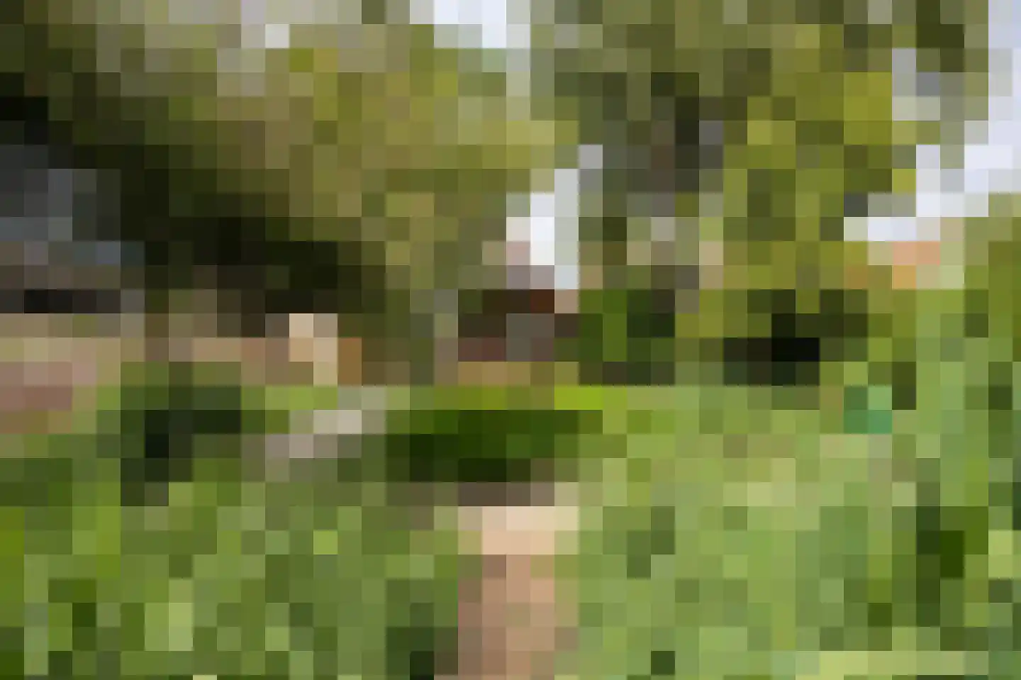 Nieuwemeerdijk 199 Badhoevedorp thumbnail 70