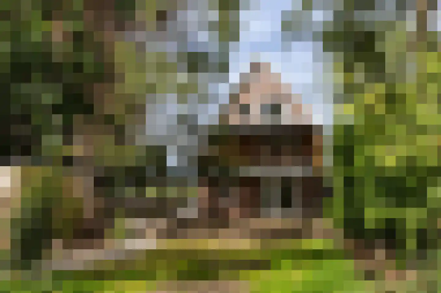 Nieuwemeerdijk 199 Badhoevedorp thumbnail 71