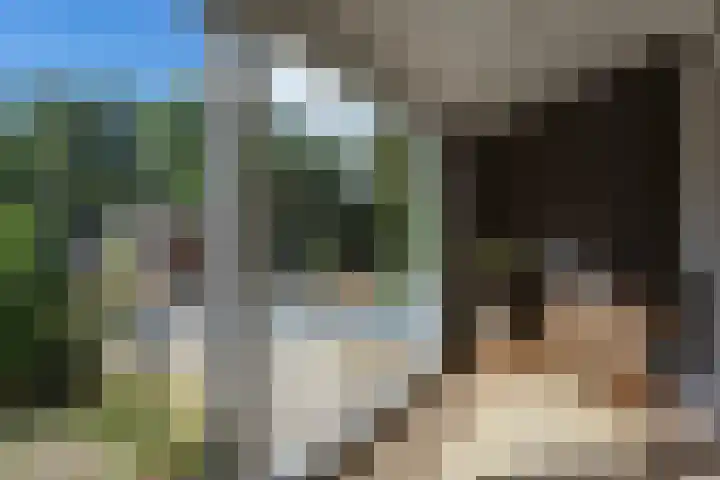Nieuwemeerdijk 219 Badhoevedorp thumbnail 18