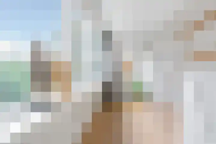 Nieuwemeerdijk 219 Badhoevedorp thumbnail 33