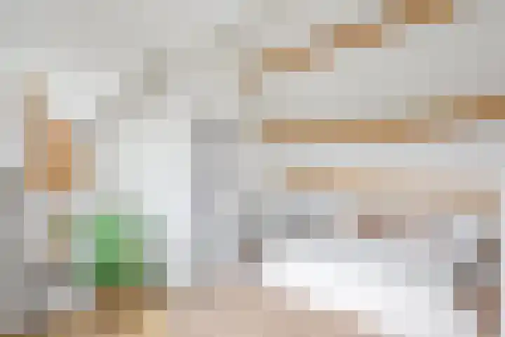 Nieuwemeerdijk 219 Badhoevedorp thumbnail 34