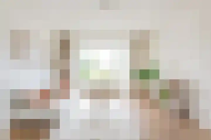 Nieuwemeerdijk 219 Badhoevedorp thumbnail 4