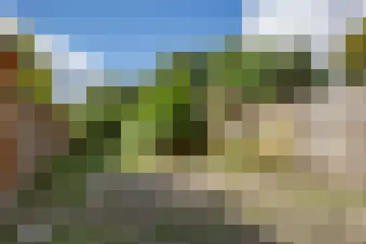 Nieuwemeerdijk 219 Badhoevedorp thumbnail 41