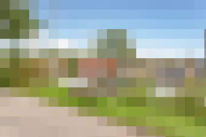 Nieuwemeerdijk 219 Badhoevedorp thumbnail 51