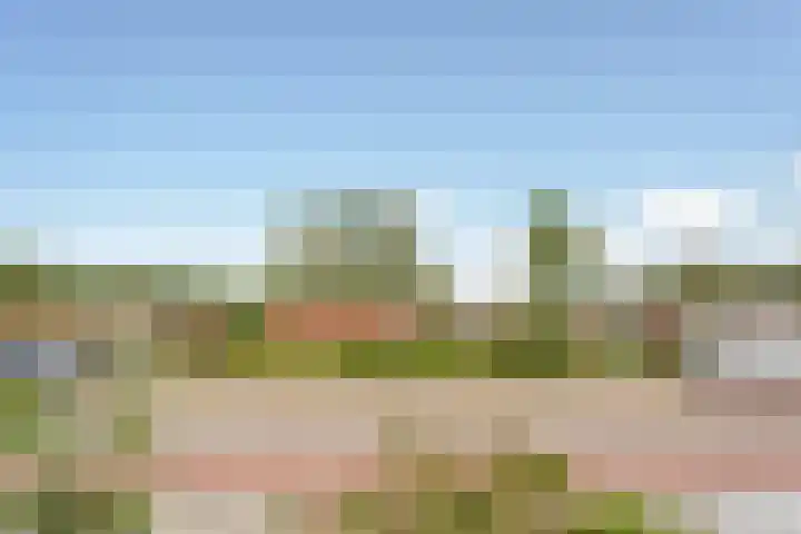 Nieuwemeerdijk 219 Badhoevedorp thumbnail 52
