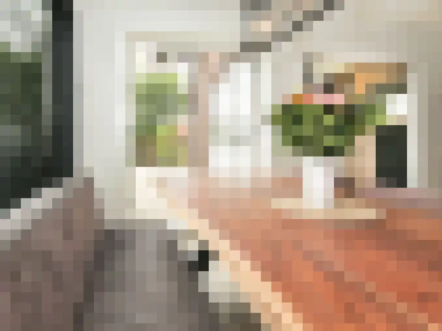 Nieuwemeerdijk 25 Badhoevedorp thumbnail 25