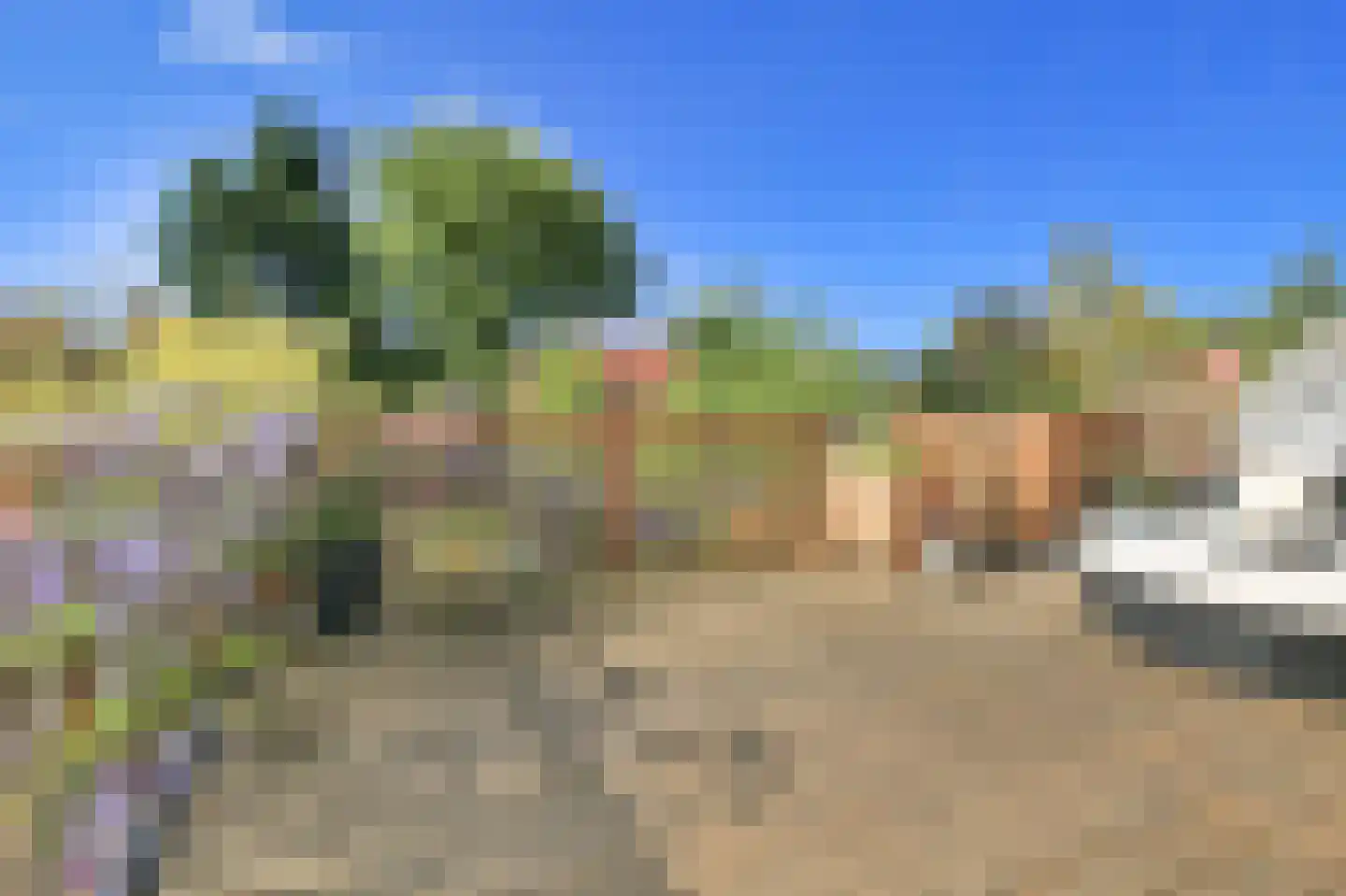 Nieuwemeerdijk 25 Badhoevedorp thumbnail 28
