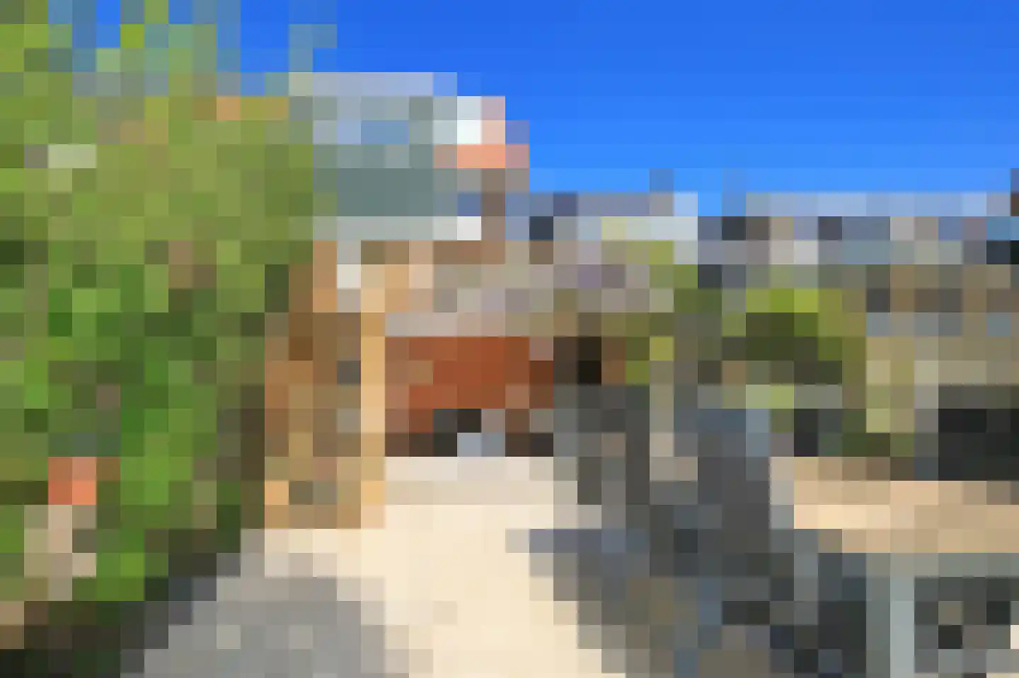 Nieuwemeerdijk 25 Badhoevedorp thumbnail 31