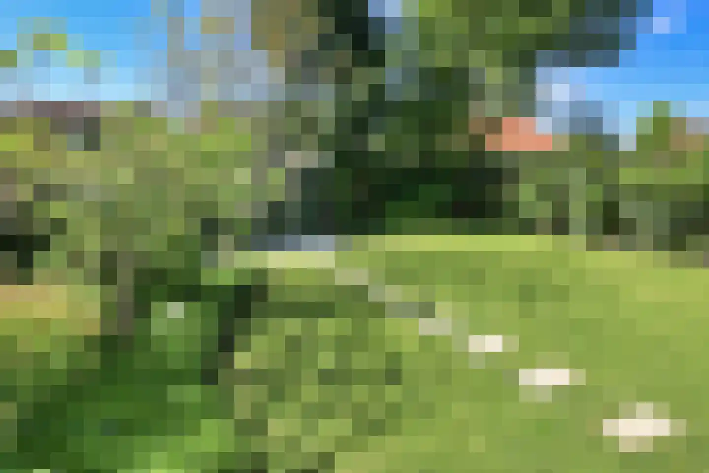 Nieuwemeerdijk 25 Badhoevedorp thumbnail 35