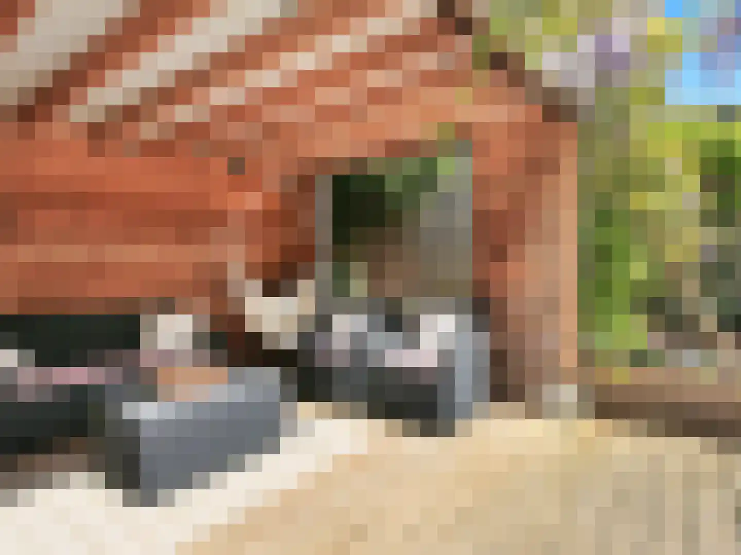 Nieuwemeerdijk 25 Badhoevedorp thumbnail 39