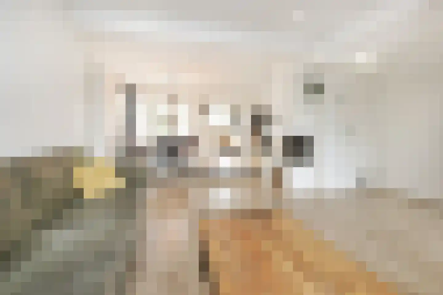 Nieuwemeerdijk 25 Badhoevedorp thumbnail 4