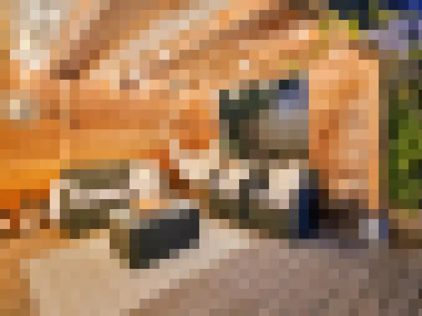Nieuwemeerdijk 25 Badhoevedorp thumbnail 41