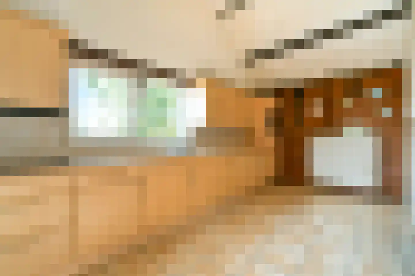 Nieuwemeerdijk 291 Badhoevedorp thumbnail 11