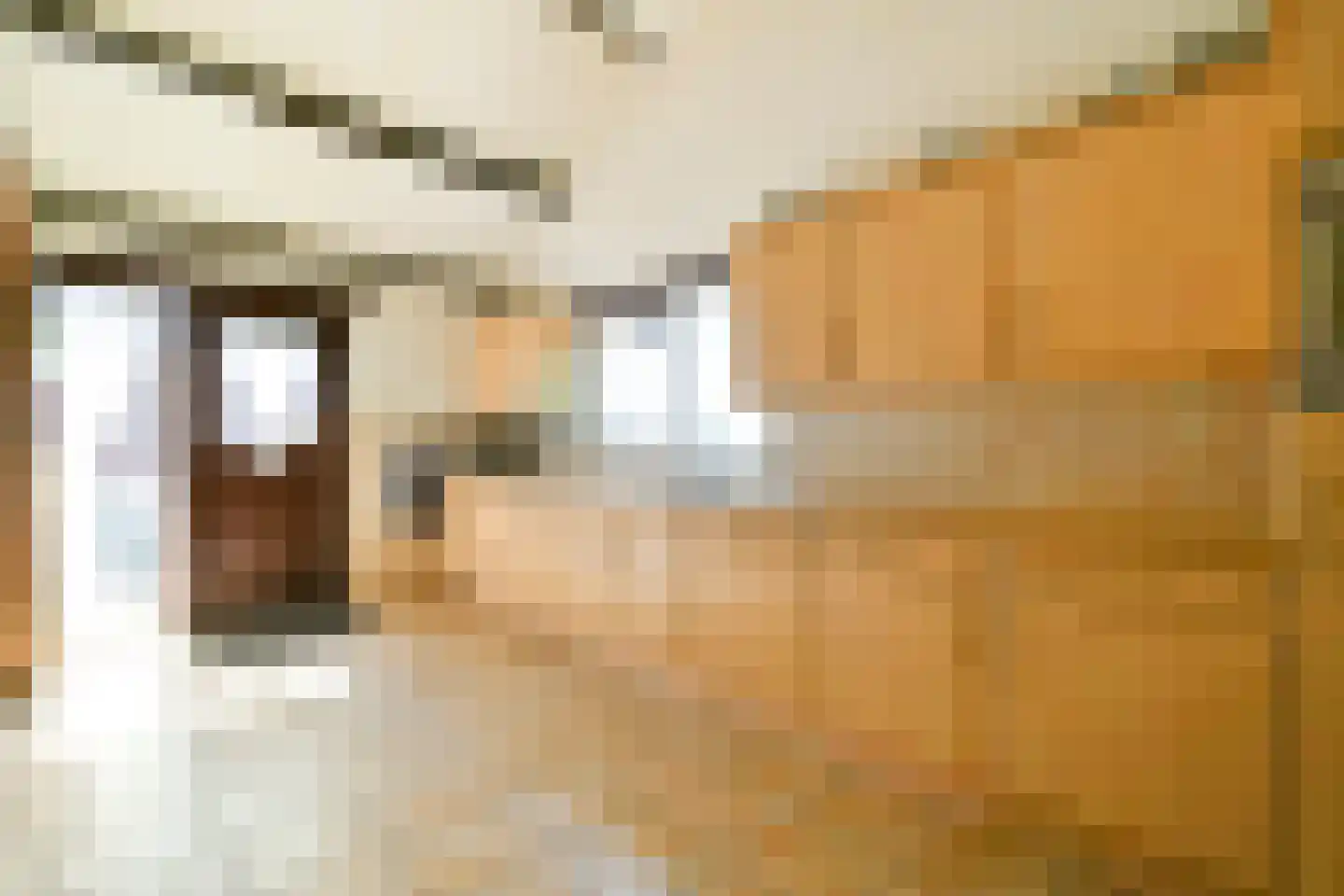 Nieuwemeerdijk 291 Badhoevedorp thumbnail 13