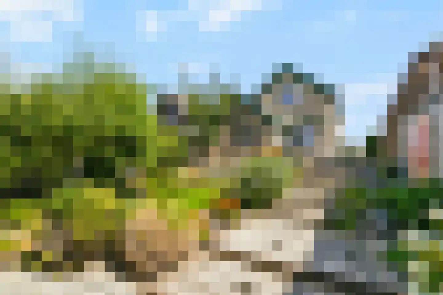 Nieuwemeerdijk 291 Badhoevedorp thumbnail 18