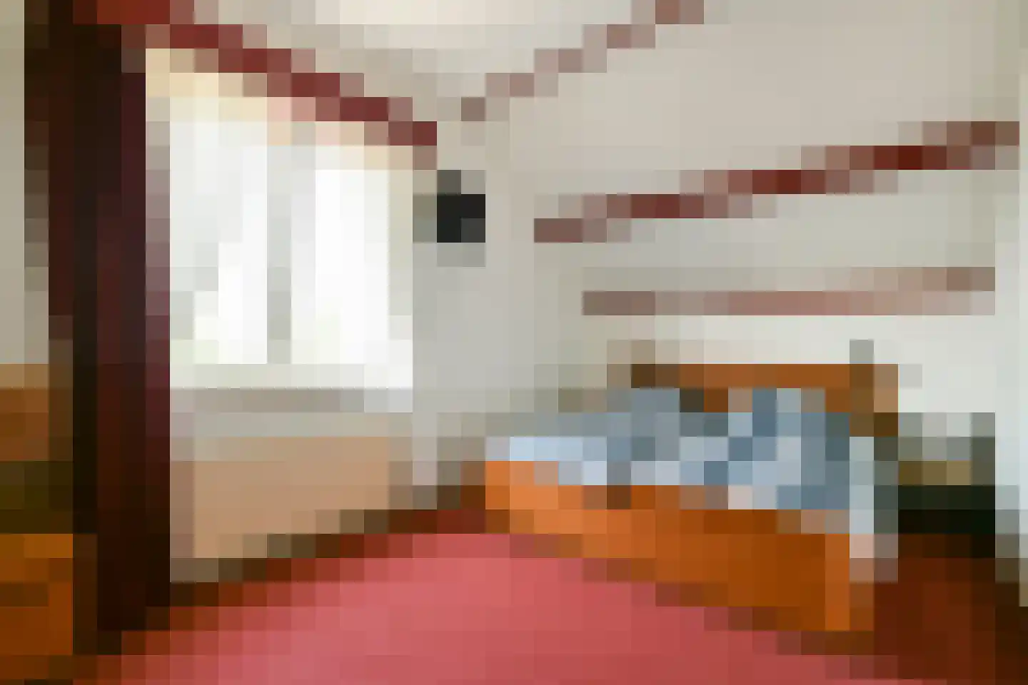 Nieuwemeerdijk 291 Badhoevedorp thumbnail 21