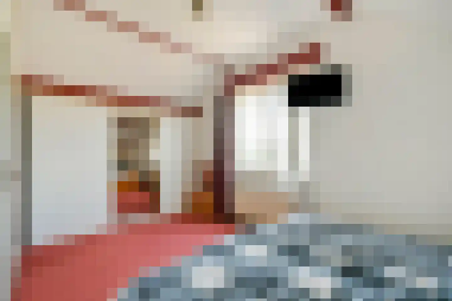 Nieuwemeerdijk 291 Badhoevedorp thumbnail 22