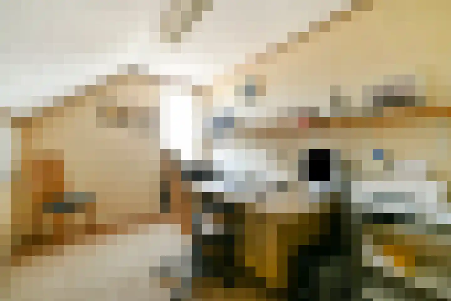 Nieuwemeerdijk 291 Badhoevedorp thumbnail 26
