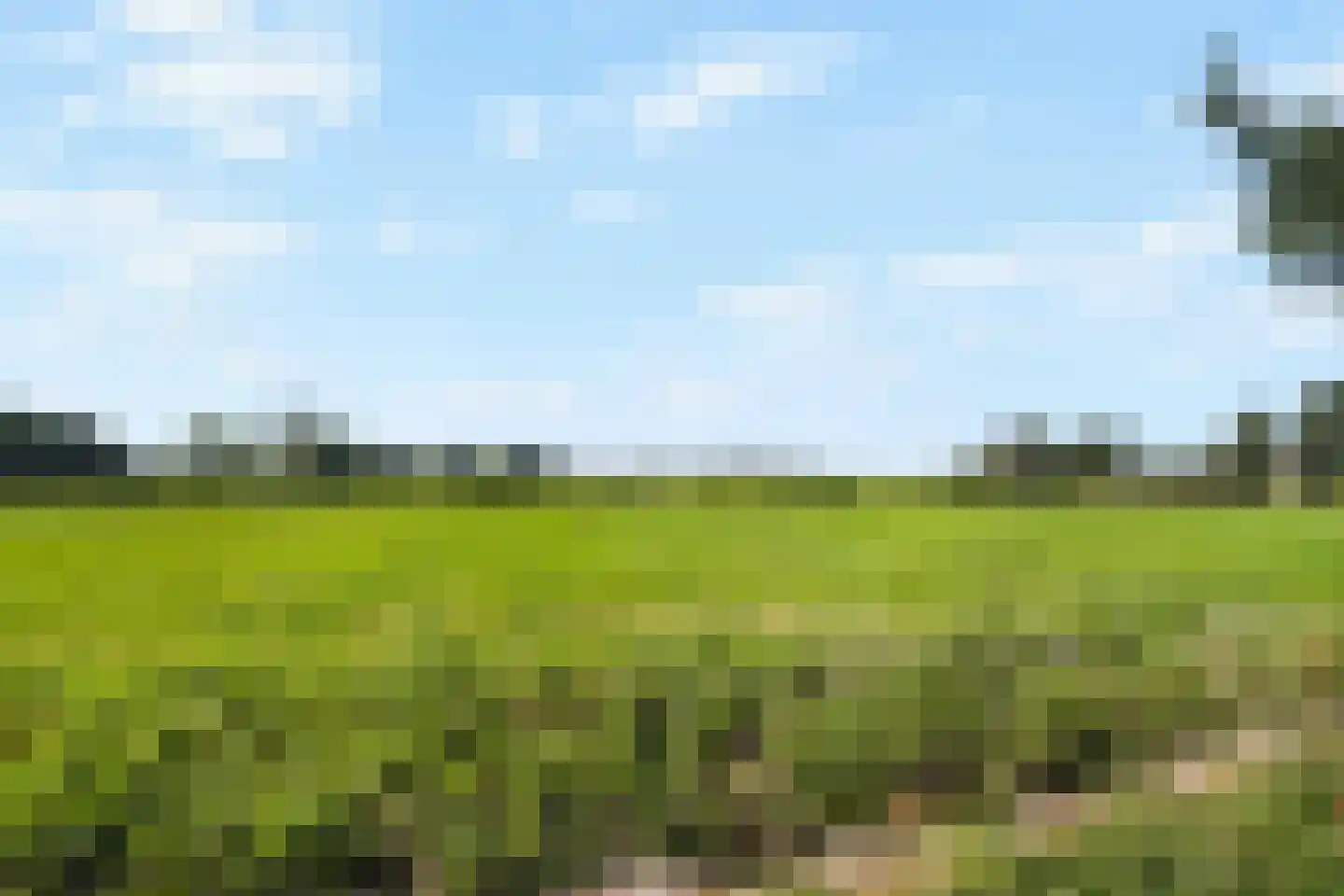 Nieuwemeerdijk 291 Badhoevedorp thumbnail 34