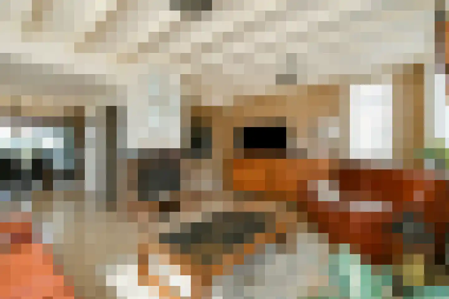 Nieuwemeerdijk 291 Badhoevedorp thumbnail 7