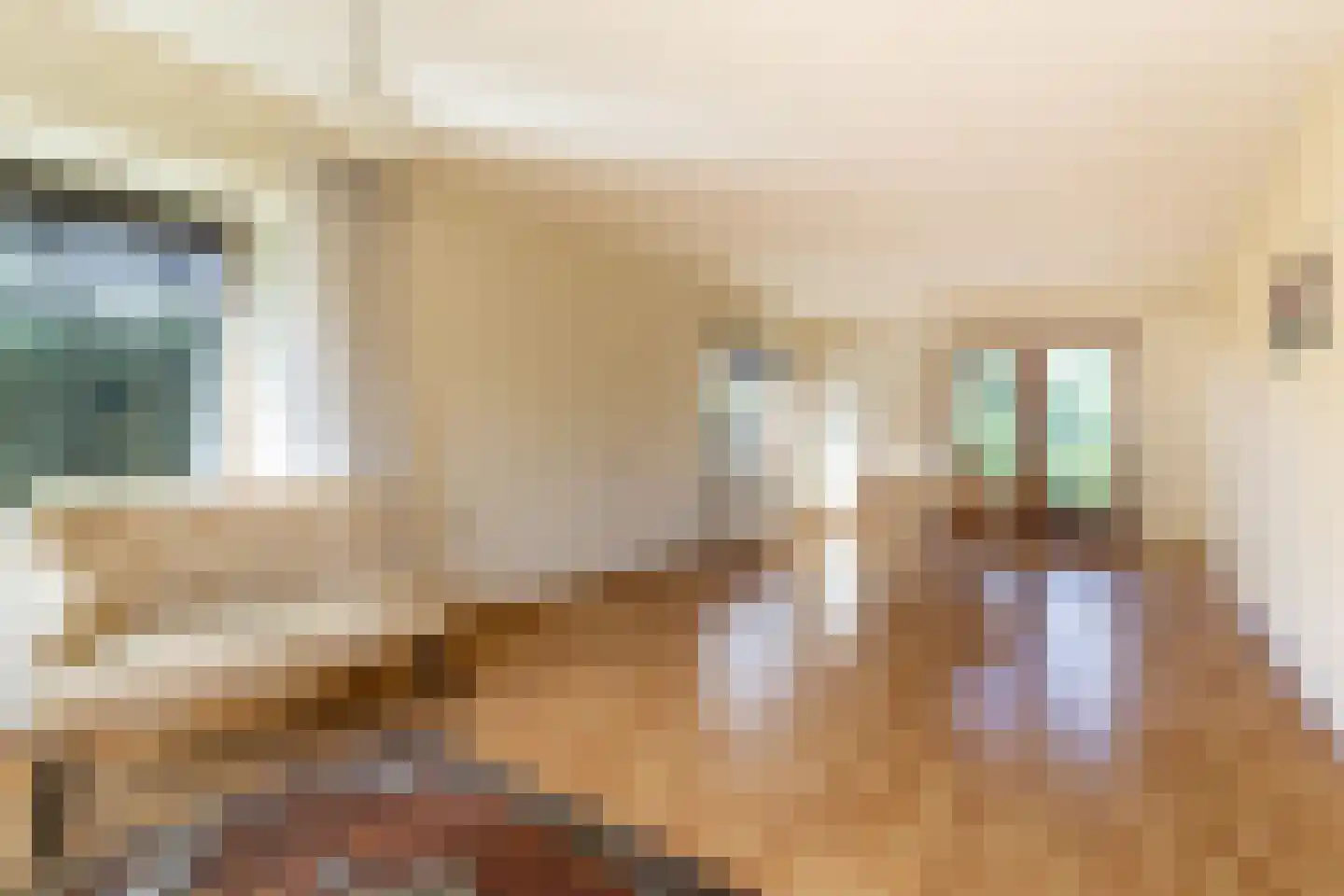 Nieuwemeerdijk 334 Badhoevedorp thumbnail 11
