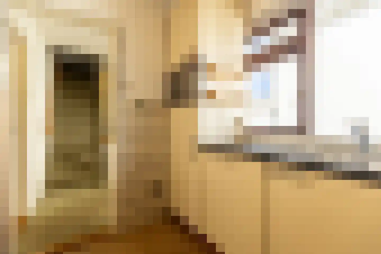 Nieuwemeerdijk 334 Badhoevedorp thumbnail 18