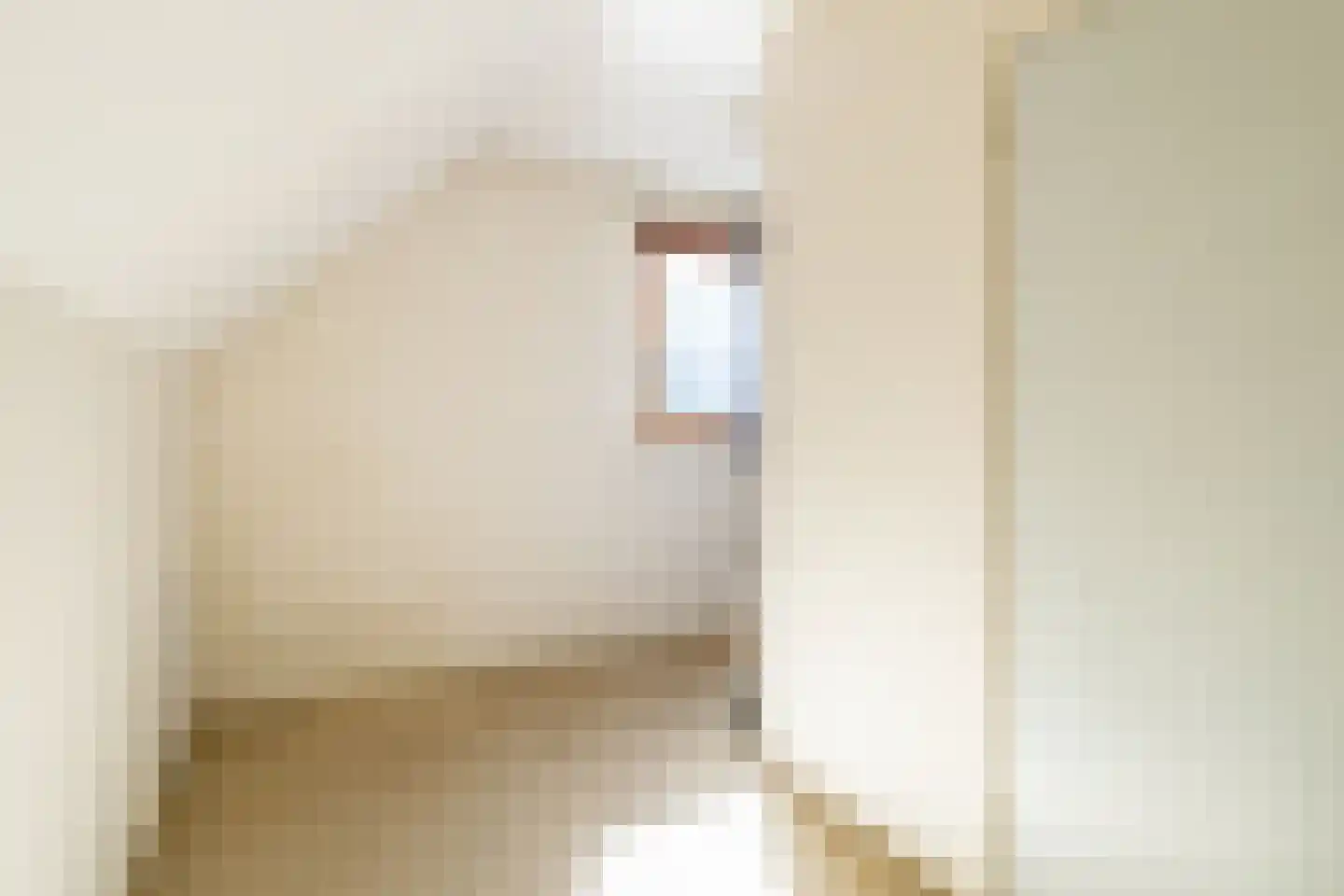 Nieuwemeerdijk 334 Badhoevedorp thumbnail 31