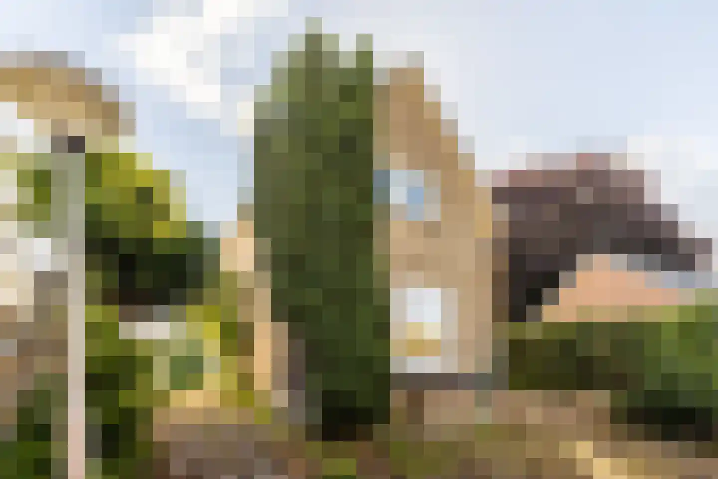 Nieuwemeerdijk 334 Badhoevedorp thumbnail 32