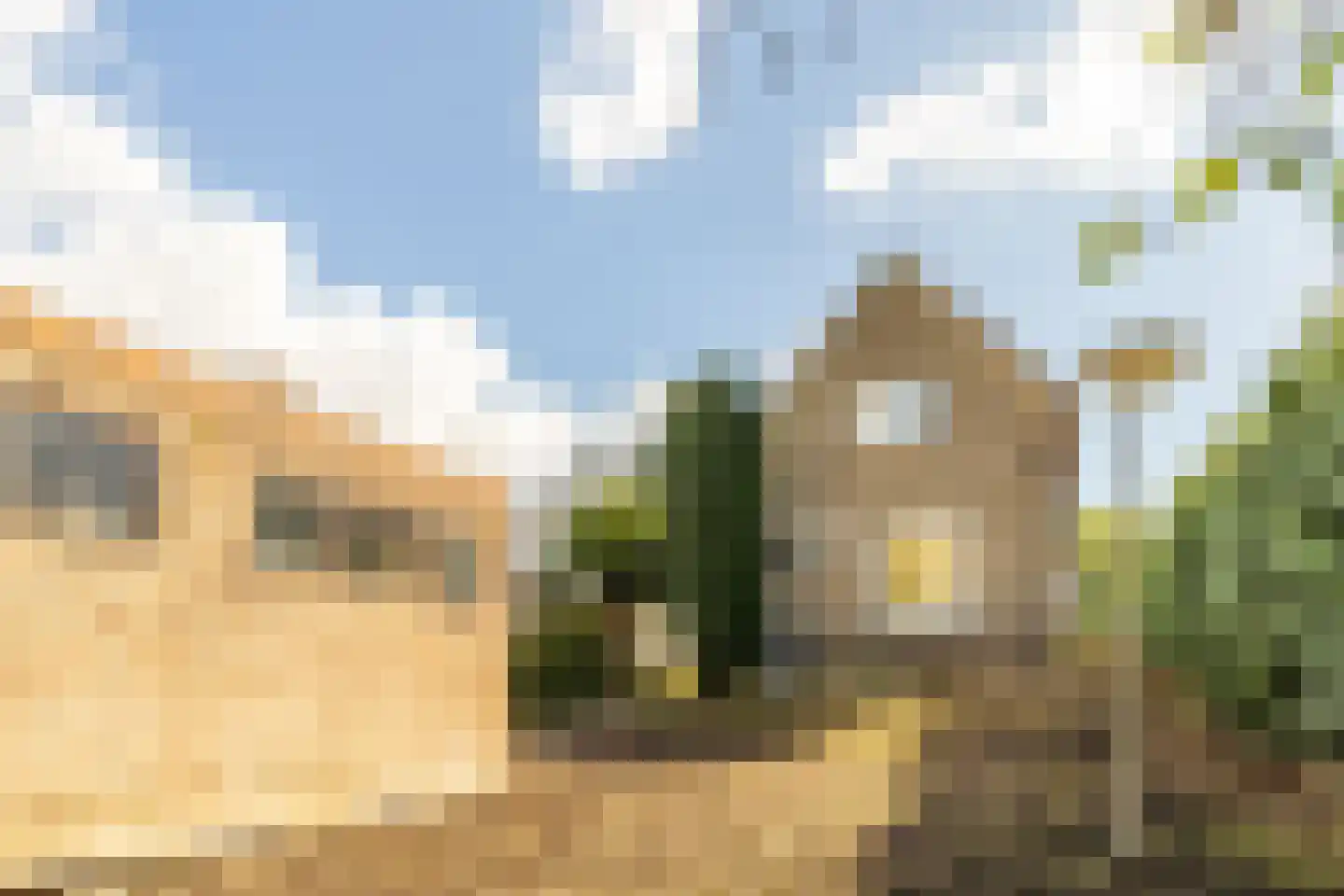 Nieuwemeerdijk 334 Badhoevedorp thumbnail 33