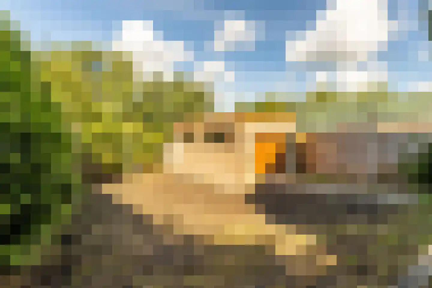 Nieuwemeerdijk 334 Badhoevedorp thumbnail 36