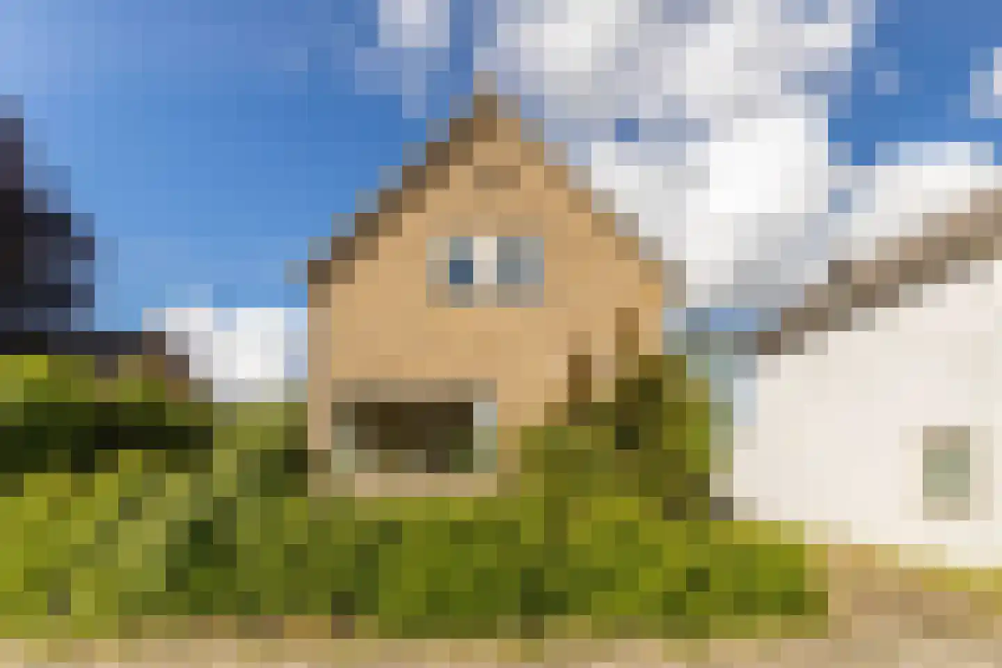 Nieuwemeerdijk 334 Badhoevedorp thumbnail 38