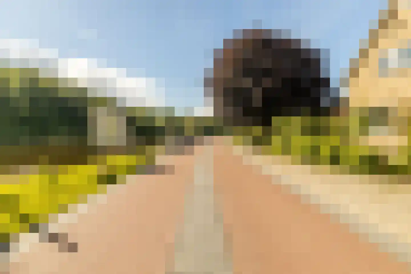 Nieuwemeerdijk 334 Badhoevedorp thumbnail 39