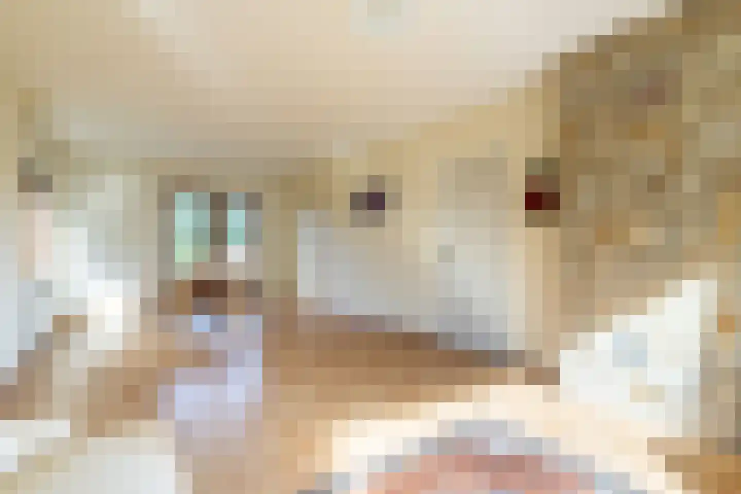 Nieuwemeerdijk 334 Badhoevedorp thumbnail 4