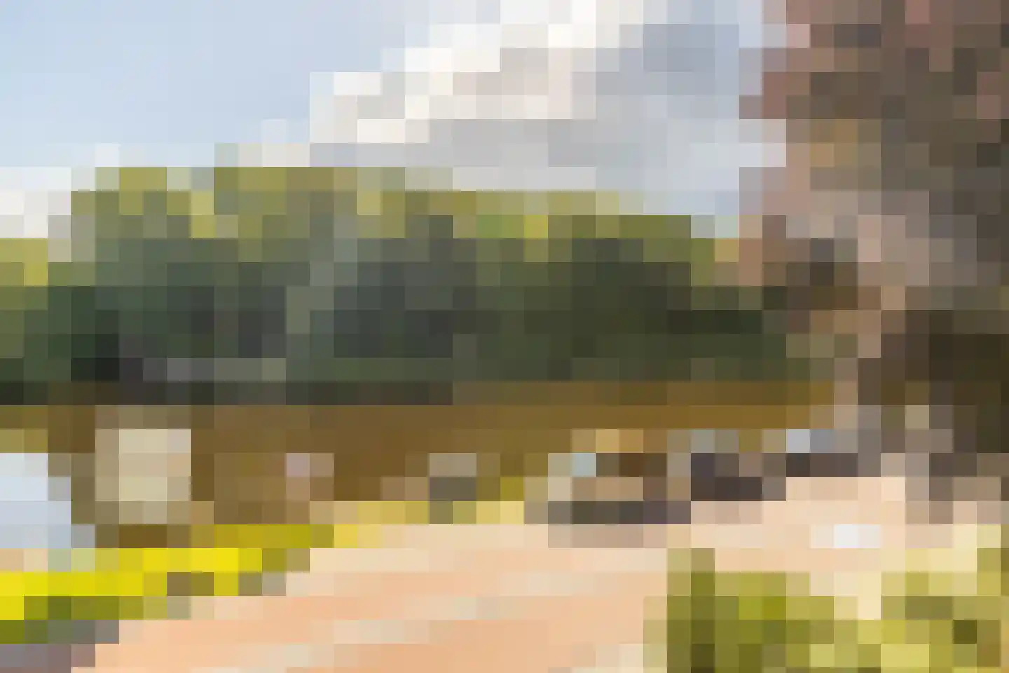 Nieuwemeerdijk 334 Badhoevedorp thumbnail 40