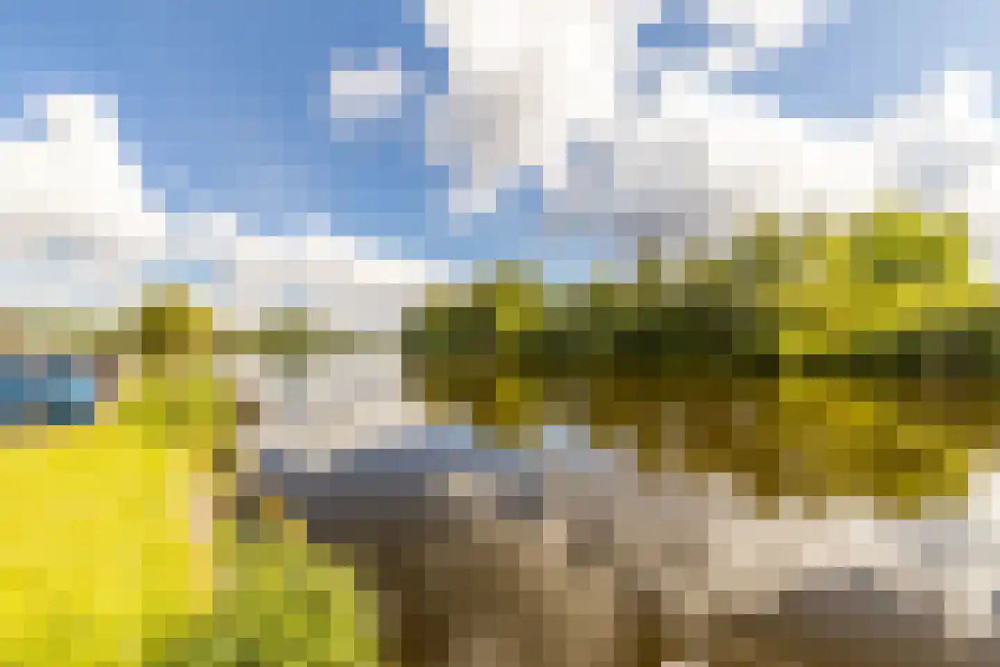 Nieuwemeerdijk 334 Badhoevedorp thumbnail 42