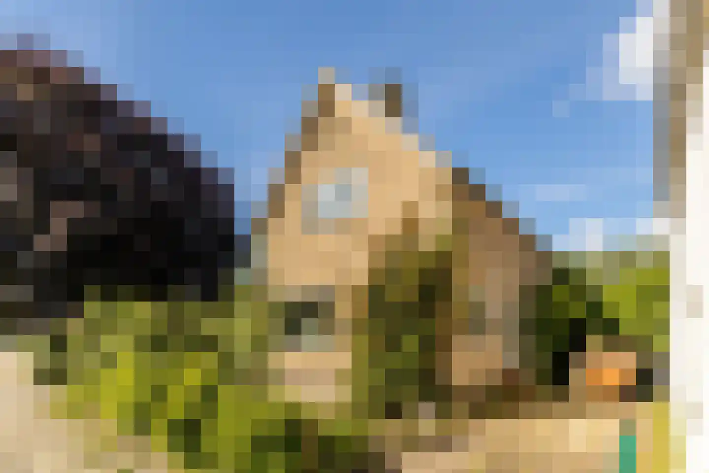 Nieuwemeerdijk 334 Badhoevedorp thumbnail 6