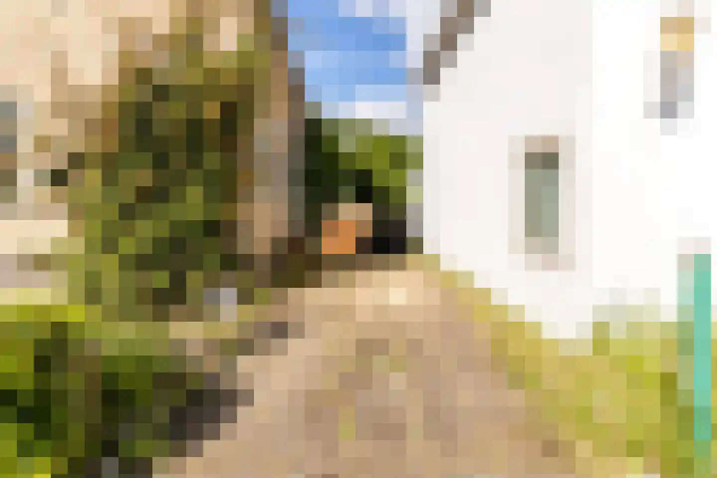 Nieuwemeerdijk 334 Badhoevedorp thumbnail 7