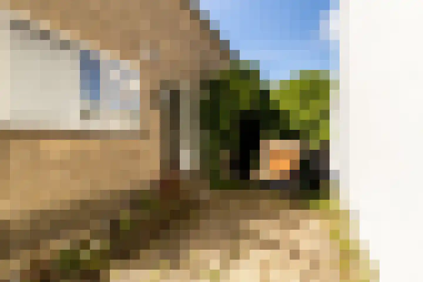 Nieuwemeerdijk 334 Badhoevedorp thumbnail 8