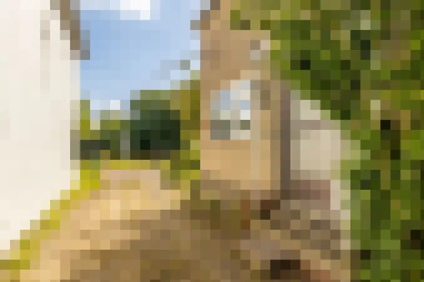 Nieuwemeerdijk 334 Badhoevedorp thumbnail 9