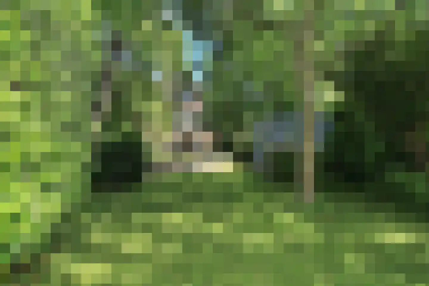 Nieuwemeerdijk 377 Badhoevedorp thumbnail 11