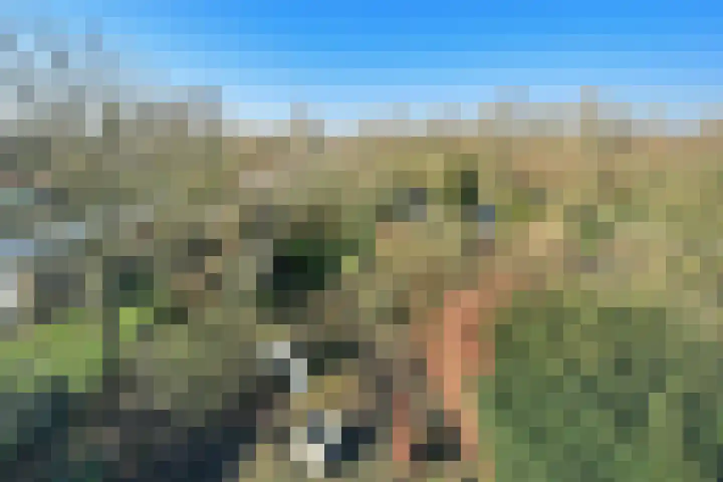 Nieuwemeerdijk 377 Badhoevedorp thumbnail 11